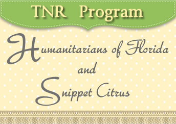 TNR Program