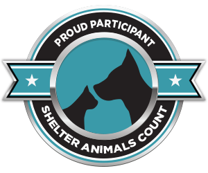 Shelter Animals Count | The National Database Project