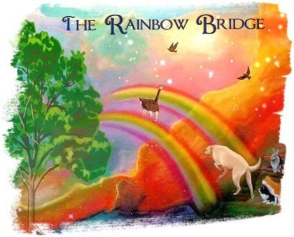 The Rainbow Bridge